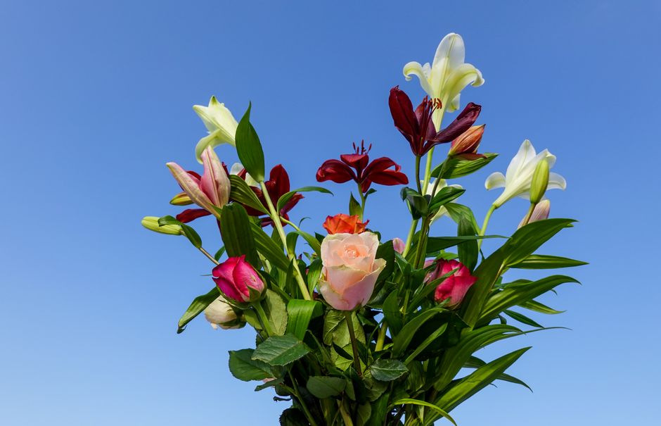 A vibrant bouquet of fresh flowers held upright against a clear blue sky, featuring pale pink roses, white lilies, deep red lilies, and pink tulips, all with lush green foliage. The bouquet is arrange