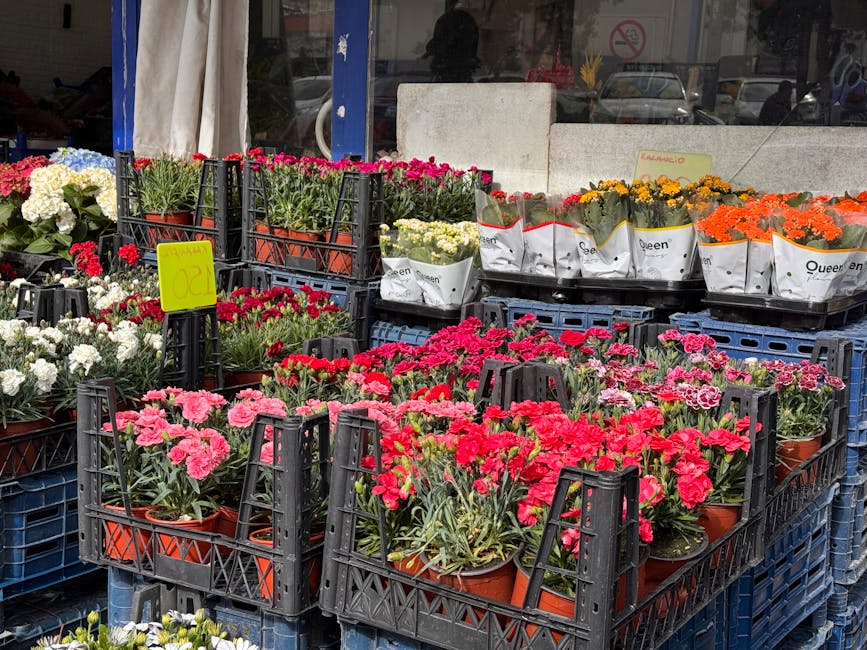 A display of potted flowering plants arranged on black plastic crates outside a flower shop, showcasing various types of carnations in shades of pink, red, and white, along with yellow and orange mari