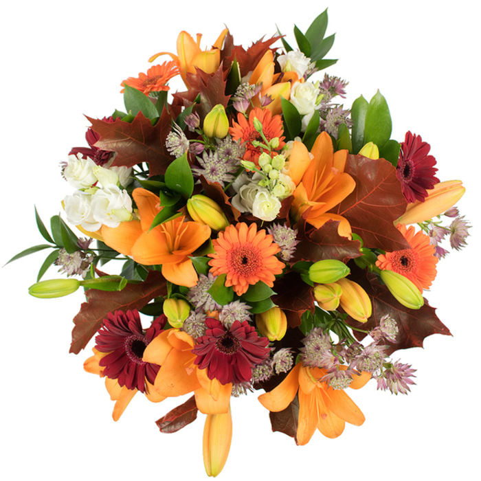 A lush, elevated close-up of a densely packed autumn bouquet, neatly captured on a pure white backdrop so every botanical detail is clear. Dominating the arrangement are large, fully open orange Asiatic lilies whose broad, trumpet-like petals fold back elegantly, surrounded by bright pumpkin-orange Gerbera daisies and contrasting deep burgundy Gerberas, each with a darker centre that anchors the composition. Intermingled are fluffy, cream-coloured Lisianthus blooms whose layered petals add softness, while clusters of muted purple Astrantia create filigree-like texture and a delicate, airy rhythm across the surface. Visible throughout are many unopened and partly opened lily buds in fresh green and pale orange, suggesting movement and future bloom; glossy green stems and leaves provide a crisp, living backdrop. Autumnal character is reinforced by several large, lobed leaves in reddish-brown and chestnut tones-reminiscent of oak or maple-strategically tucked in to read like newly fallen foliage and to evoke the turning leaves around Harrow's High Street and nearby green spaces. The lighting is even and bright, catching the subtle veins on petals and the soft fuzz on some buds, while the scent suggestion leans toward sweet floral notes with an earthy undertone. This arrangement is ideal for seasonal centrepieces, harvest tables, or as a thoughtful autumn gift delivered locally to homes and small businesses around Harrow on the Hill, offering a handcrafted, comforting presence that celebrates the season's warmth.