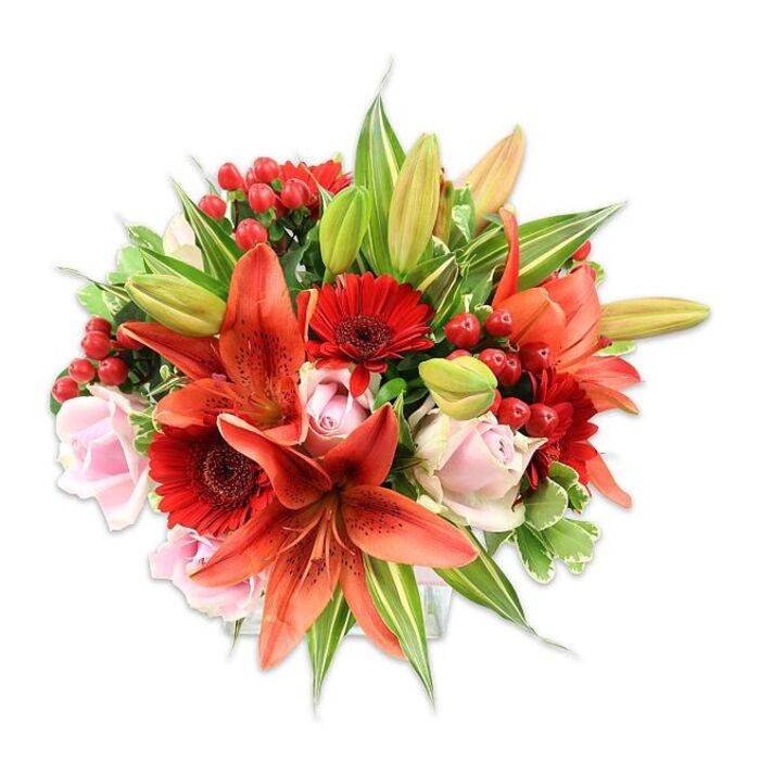 This lush arrangement, photographed against a bright white field, feels like an intimate celebration of warm colour and floral form. Several large Asiatic lilies in a striking orange-red take centre stage; their recurved petals show subtle dark speckling and proud stamens, while unopened buds promise a slow, unfolding presence. Nestled among them are rich crimson Gerbera daisies, their many slender petals radiating from deep centers and providing a bold, cheerful counterpoint. Soft blush-pink roses, from petite buds to fuller blossoms, tuck into the composition and lend a romantic, velvety softness that calms the fiery palette. Small clusters of glossy red hypericum berries are threaded through the design, catching light like small gems and adding playful texture. A variety of greenery - broad, solid leaves giving a saturated backdrop and a few variegated leaves that brighten edges - completes the full, rounded silhouette and demonstrates careful layering. The lighting brings out the tactile contrasts: the lily's papery surface, the rose's satiny curl, and the berry's smooth sheen. You can almost sense the scent: a tender rose note underscored by the warm, slightly spicy scent of lilies. As a florist serving local streets from College Road to Harrow town centre, Flower Delivery Harrow on the Hill often crafts this style for anniversaries, congratulations, and special visits to St. Mary's Church or a family gathering on the Hill; it reads as both generous and thoughtfully composed, ideal for gifting or dressing a room with seasonal cheer.