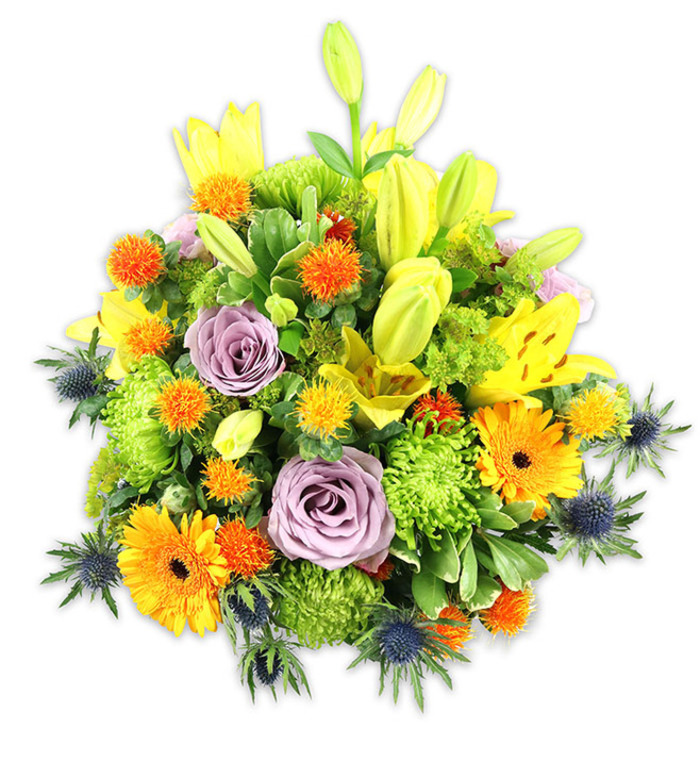 An expertly arranged, densely layered bouquet presented against pure white, evoking both exuberance and refined balance as one might expect from a seasoned Harrow on the Hill florist. The piece is dominated by luminous yellow Asiatic lilies-some opened wide with freckled throats and exposed stamens, others held as elegant buds pointing skyward-which give vertical emphasis and a feeling of optimism. Two or more soft, lavender-hued roses sit slightly recessed as a calming focal point, their velvety petals unfolding in delicate spirals and offering a restrained perfume that complements rather than competes. Vibrant orange Gerberas fan their broad petals outward in cheerful bursts, anchored by plentiful lime-green button chrysanthemums whose tightly packed florets create a textured base reminiscent of flowering moss. Scattered throughout are small spherical orange-and-yellow accent blooms, adding playful, tactile points of interest, while several deep indigo-blue sea thistles (Eryngium) introduce a dramatic, cool-toned edge with their spiky, star-like bracts. A variety of greens-broad leaves, slender blades, and glossy fillers-frame the flowers and provide a sense of freshly gathered abundance. The overall lighting is soft and even, allowing the warm tones to glow against the white backdrop and highlighting the contrast with the cool blues. This arrangement reads as celebratory yet comforting, suitable for anniversaries, congratulations, or a thoughtful remembrance, and reflects the local character of Harrow neighbourhood arrangements often seen near Harrow School and the High Street.